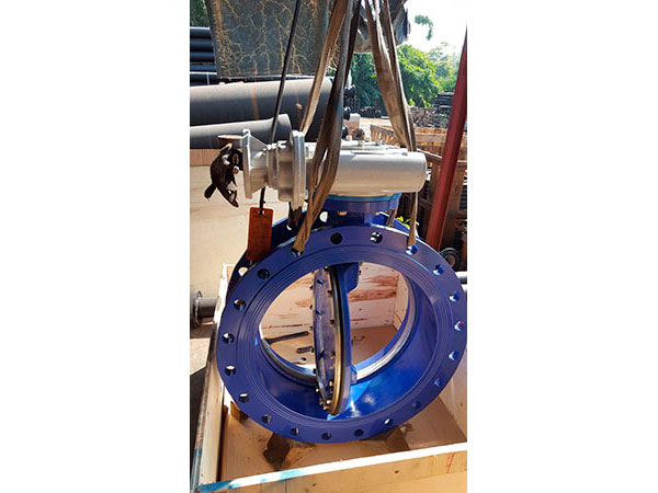 Butterfly Valve